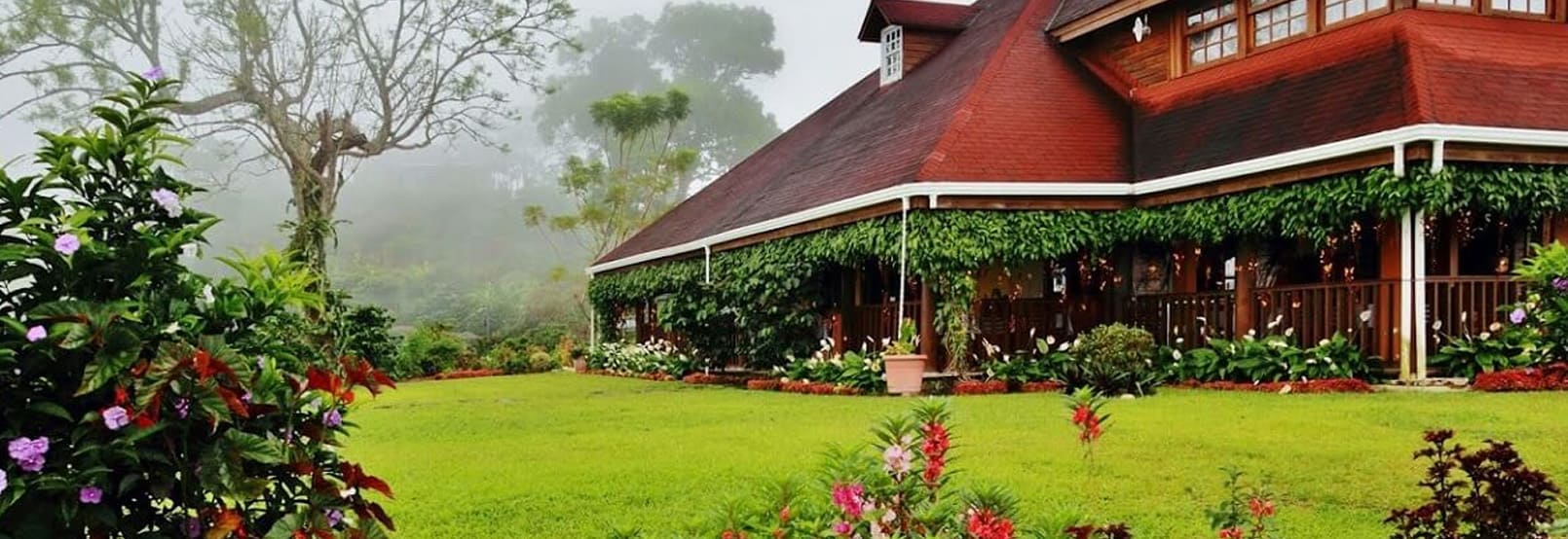 RUTA DEL CAFE EN CHIAPAS
